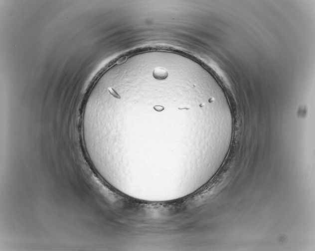 X0000090450799200708102048