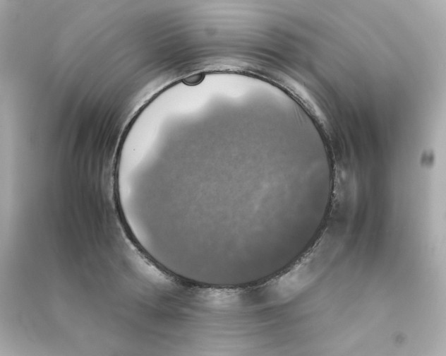 X0000090450802200708102048