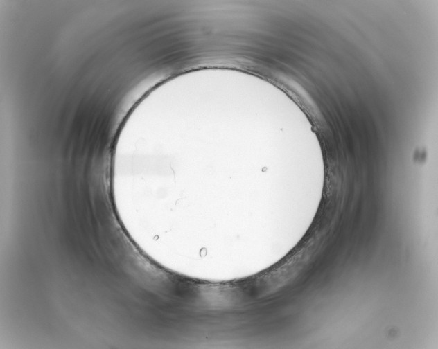 X0000090450804200708102048