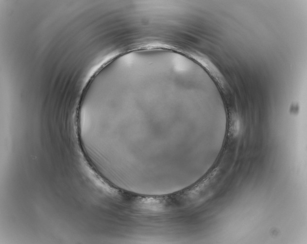 X0000090450806200708102048