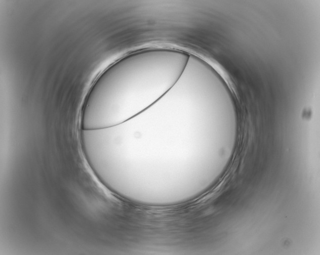 X0000090450807200708102048