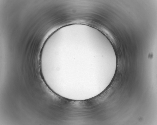 X0000090450808200708102048