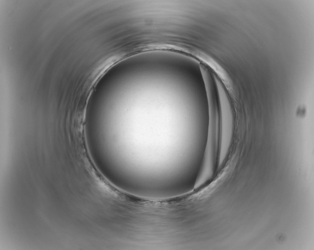 X0000090450809200708102048