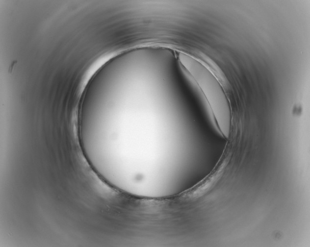 X0000090450812200708102048