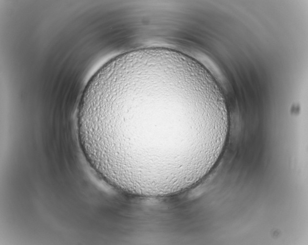 X0000090450814200708102048