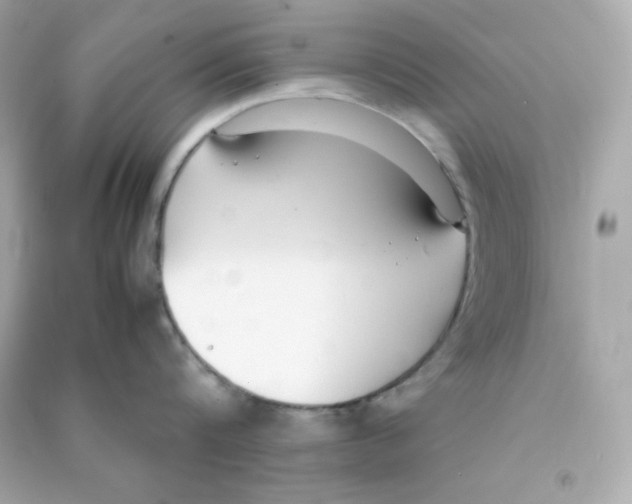 X0000090450816200708102048