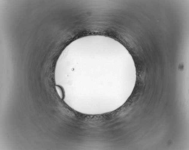 X0000090450817200708102047