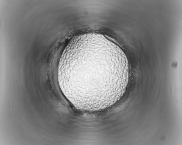 X0000090450818200708102047