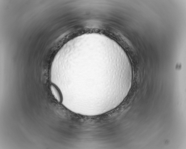 X0000090450821200708102047