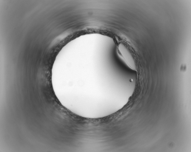 X0000090450822200708102047