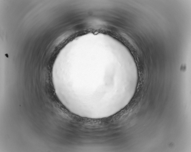 X0000090450823200708102047