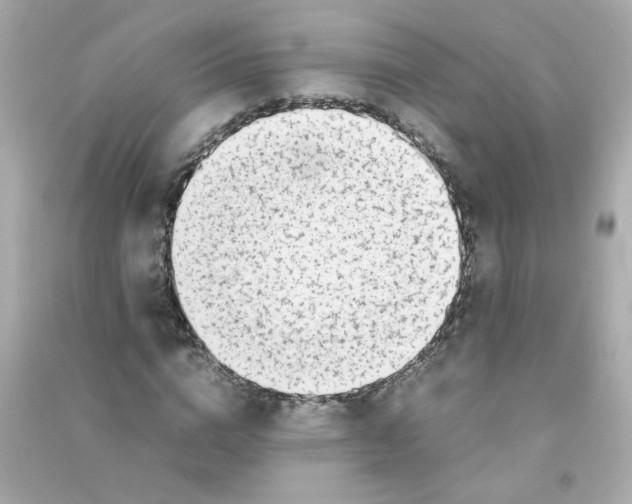 X0000090450824200708102047