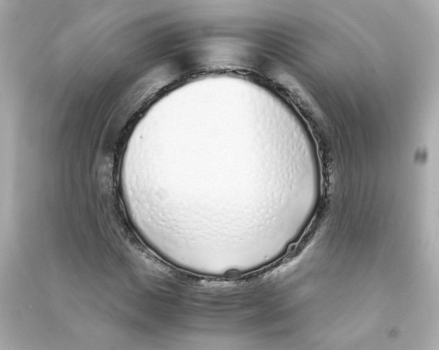 X0000090450825200708102047