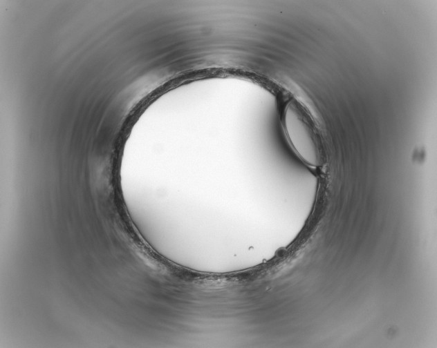 X0000090450826200708102047