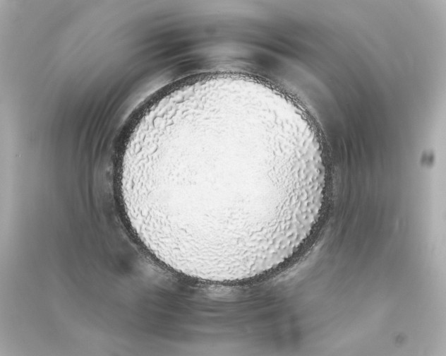 X0000090450827200708102047