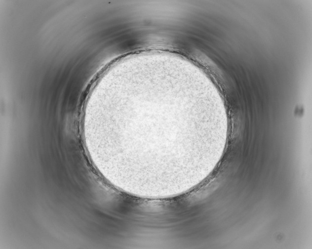 X0000090450828200708102047