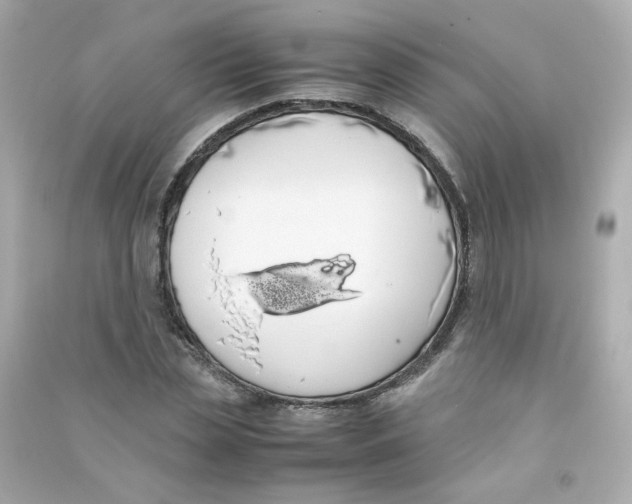 X0000090450829200708102047