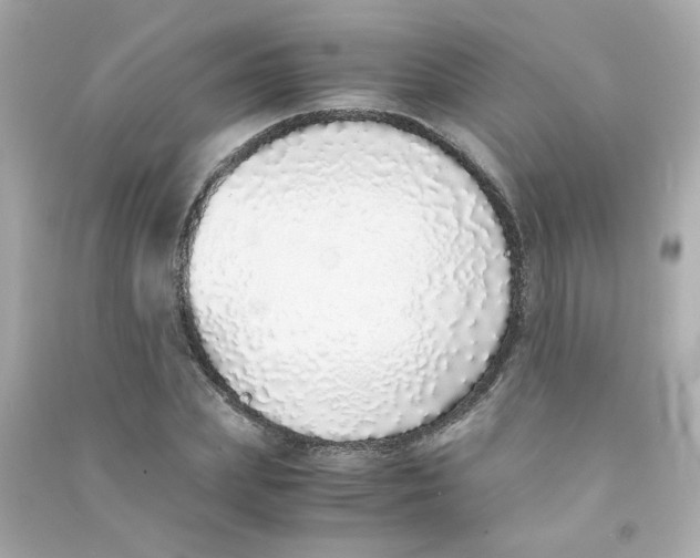 X0000090450831200708102047