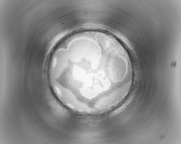 X0000090450832200708102047