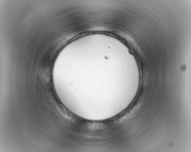 X0000090450833200708102047