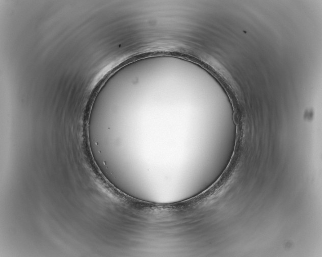 X0000090450834200708102047