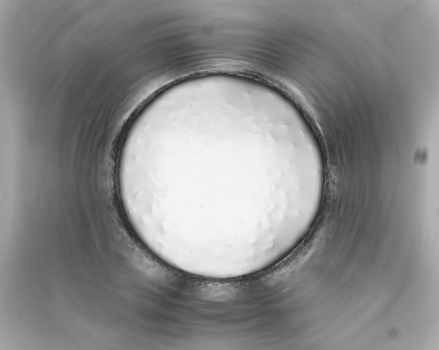 X0000090450835200708102048