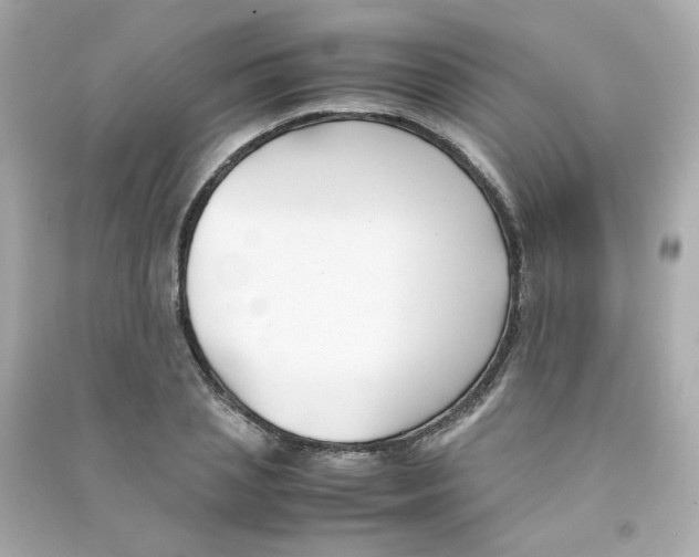 X0000090450837200708102048