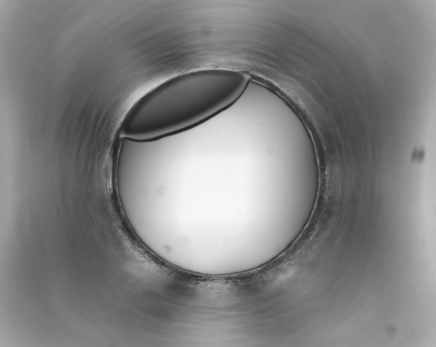 X0000090450838200708102048