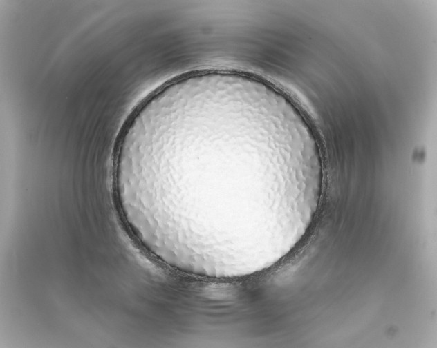 X0000090450839200708102048