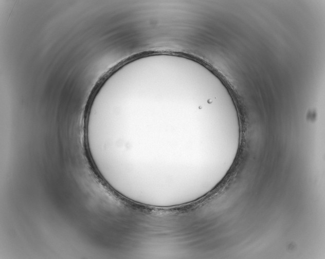 X0000090450840200708102048