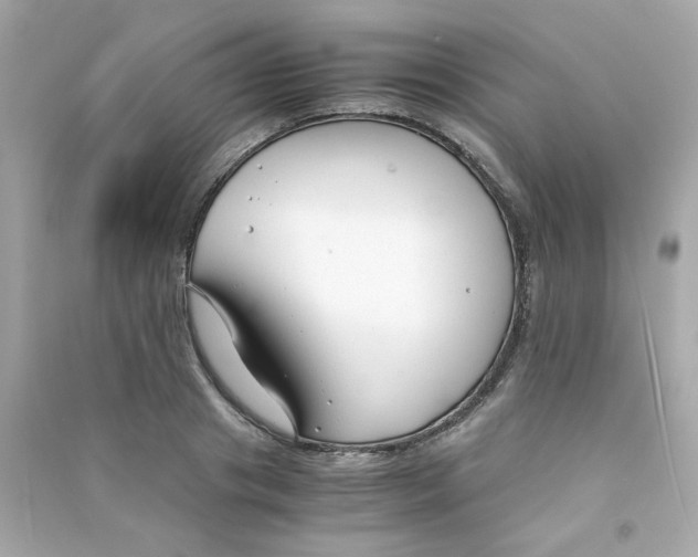 X0000090450841200708102048