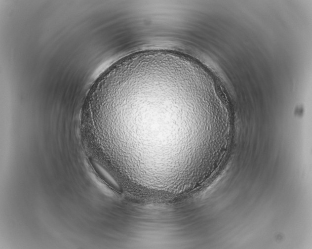 X0000090450842200708102048