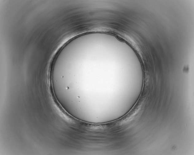 X0000090450843200708102048