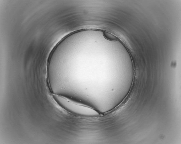 X0000090450844200708102048