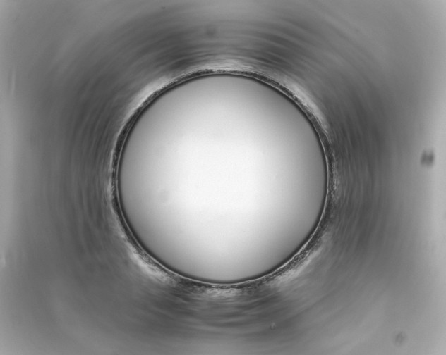 X0000090450845200708102048