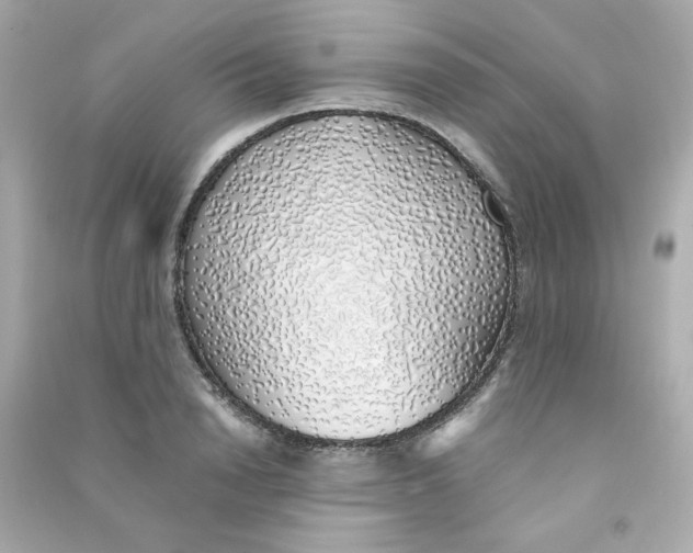 X0000090450846200708102048