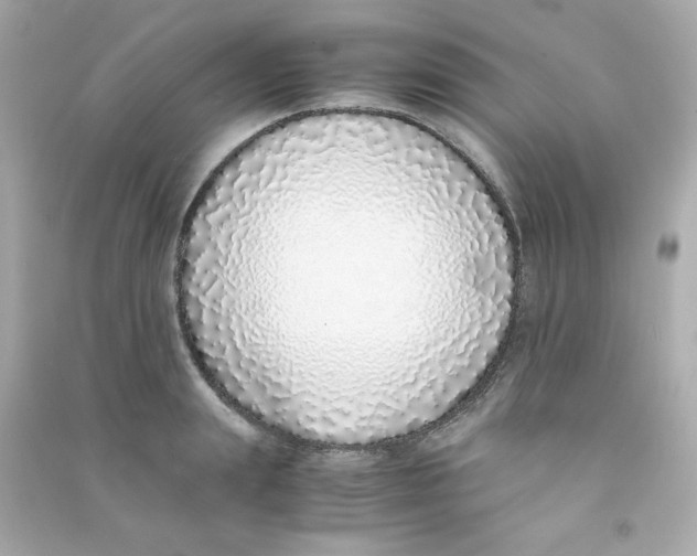 X0000090450847200708102048