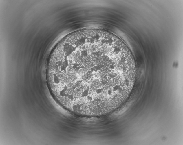 X0000090450851200708102048