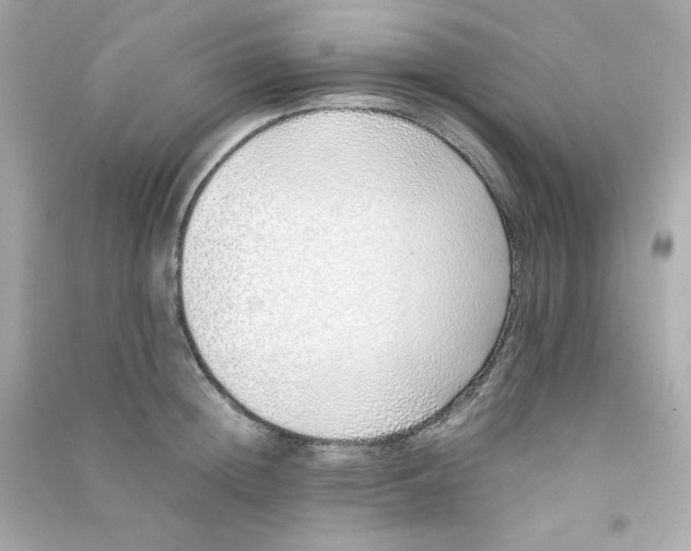 X0000090450852200708102048