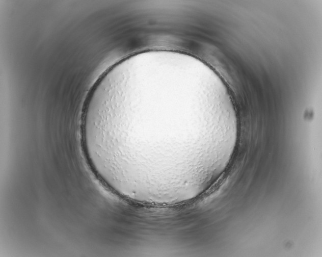 X0000090450853200708102048