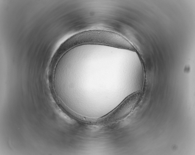 X0000090450854200708102048