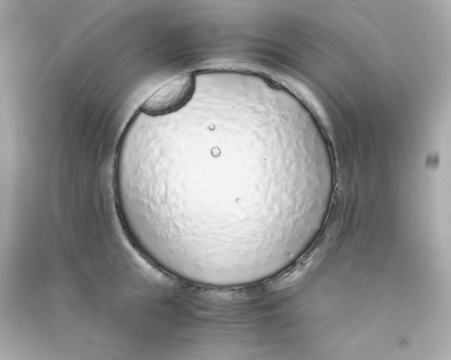 X0000090450855200708102048