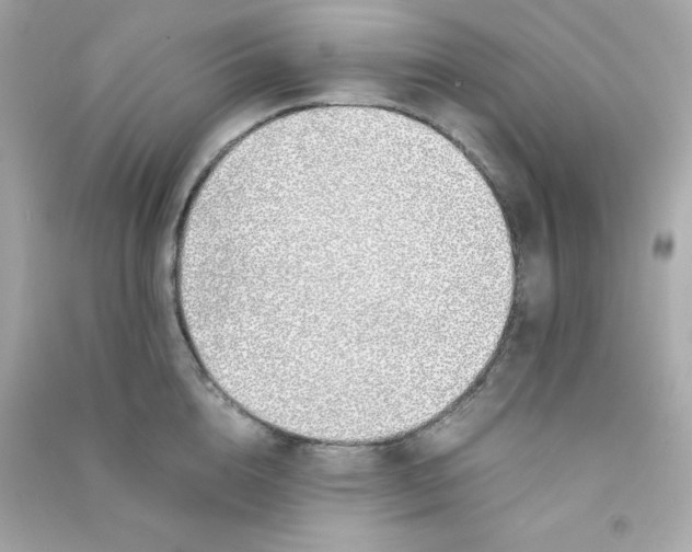 X0000090450856200708102048