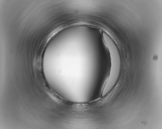 X0000090450858200708102048