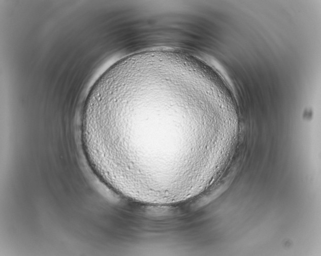 X0000090450859200708102048