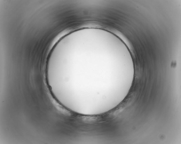 X0000090450861200708102048