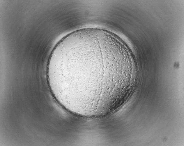 X0000090450862200708102048