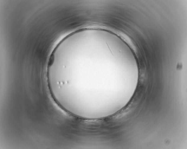 X0000090450863200708102048