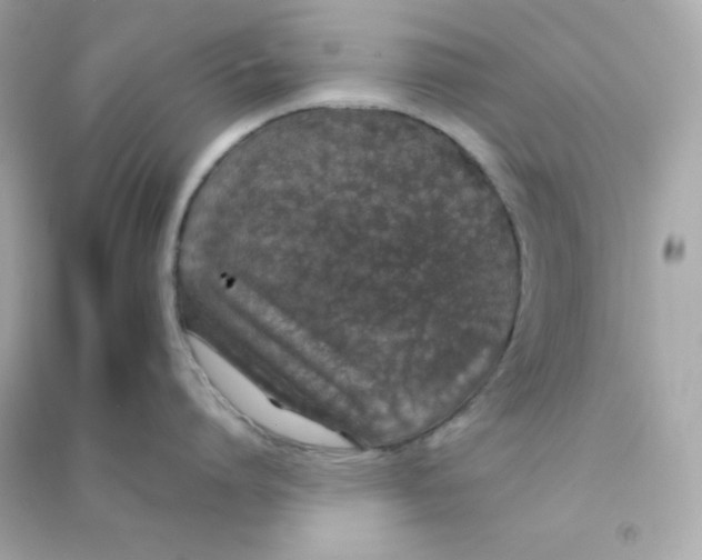 X0000090450864200708102048