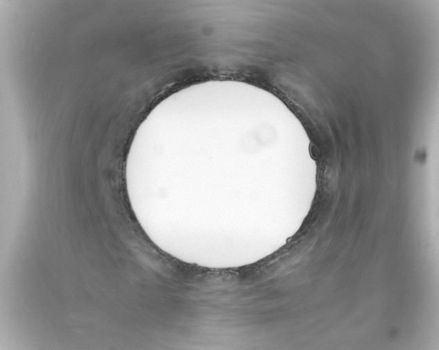 X0000090450865200708102047